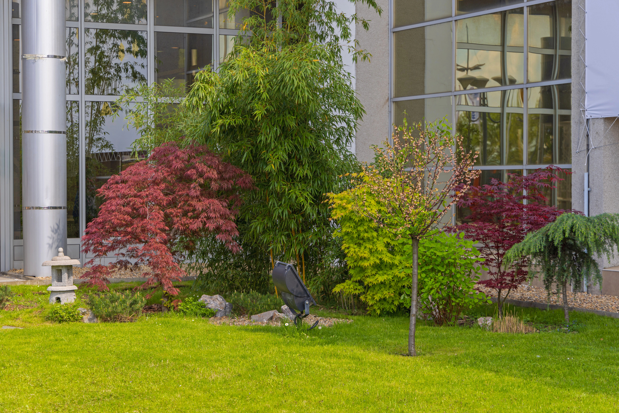commercial landscaping